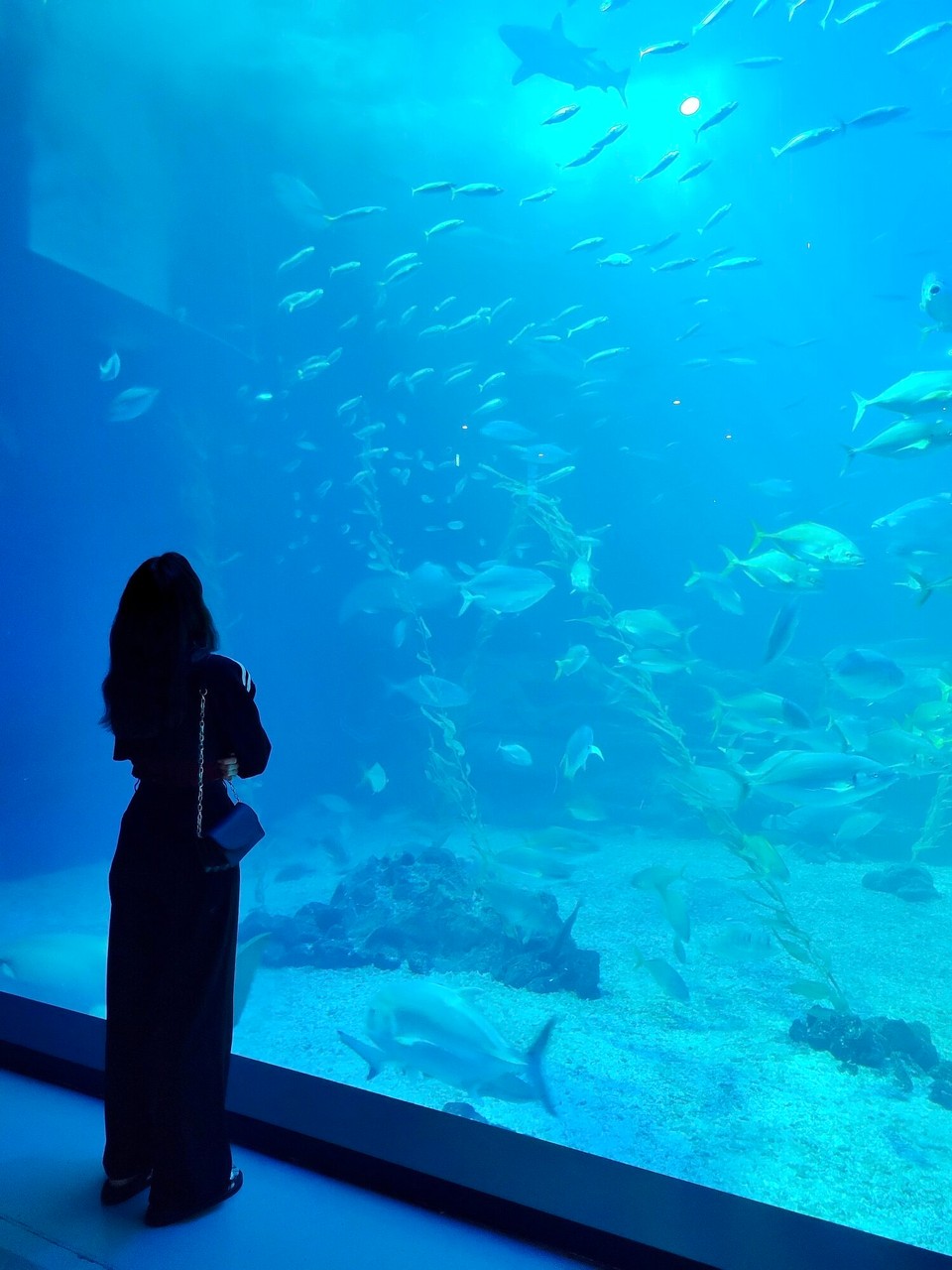 대한민국 - 서귀포시 - 