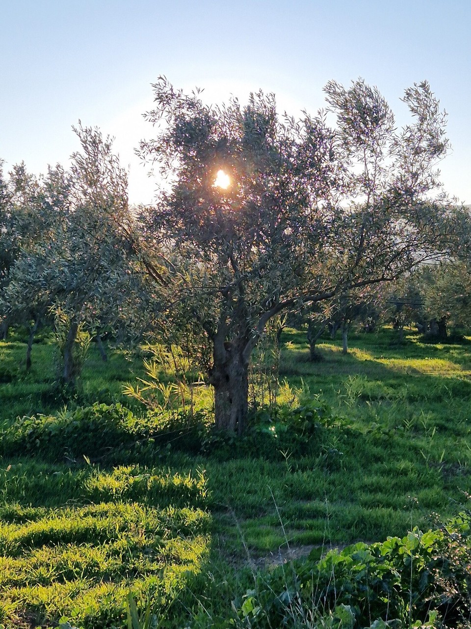 Griechenland - Agios Andreas - 