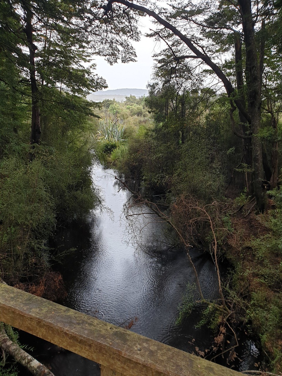 Neuseeland - Te Anau - 