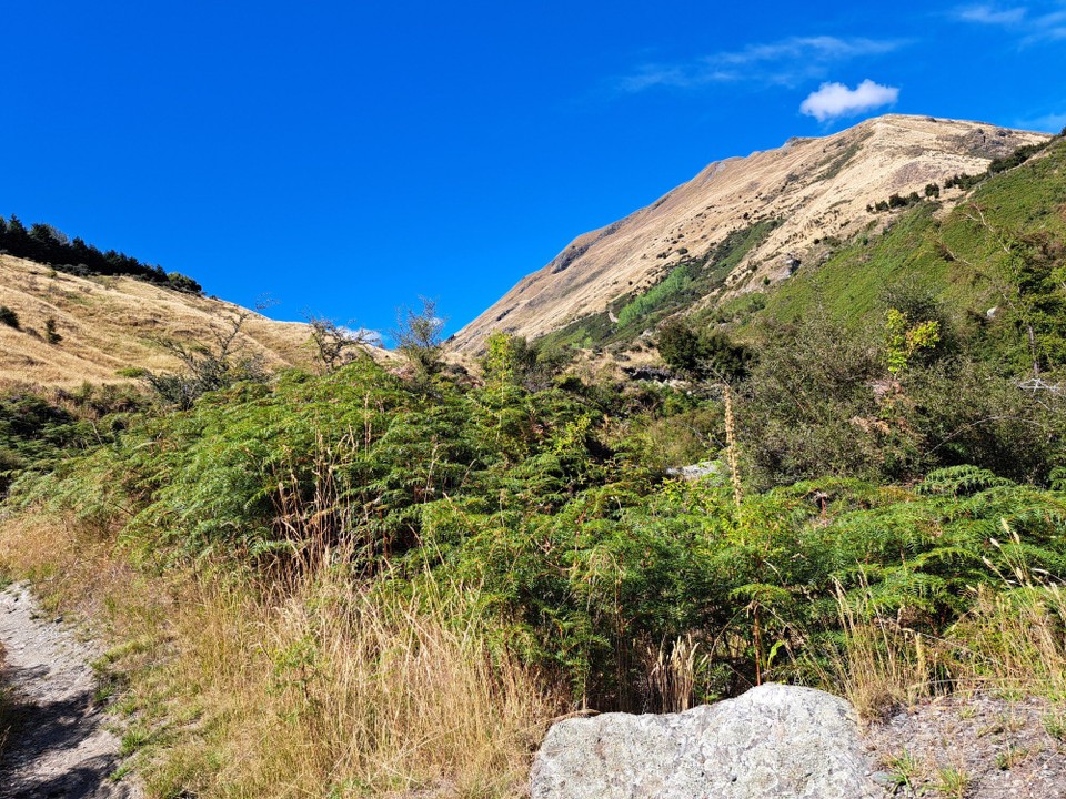 Neuseeland - Wanaka - 