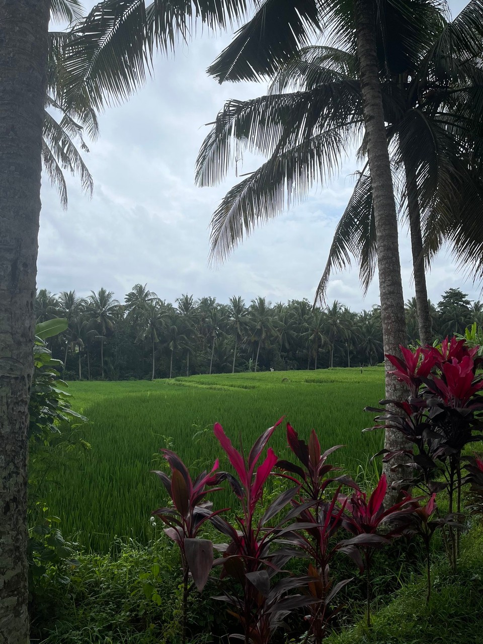 Indonesien - Gianyar - 