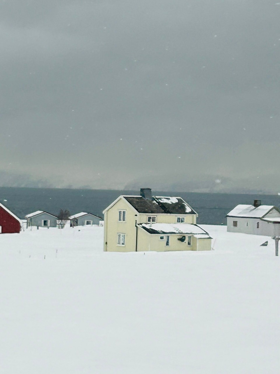 Norwegen - Nordkapp - Wenn man hier wohnt hat man seine Ruhe 