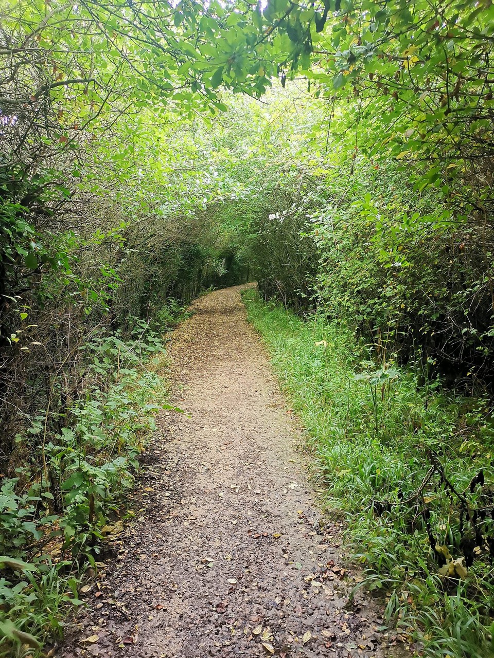 United Kingdom - Lansdown - 