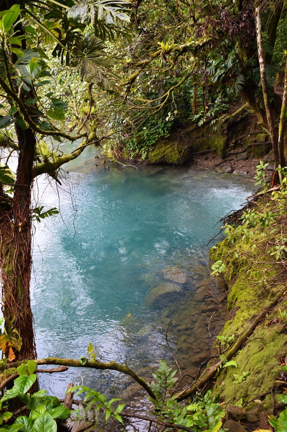 Costa Rica - Upala - Irgendwann fängt es an zu stinken wie faule Eier und angebranntes Popkorn.