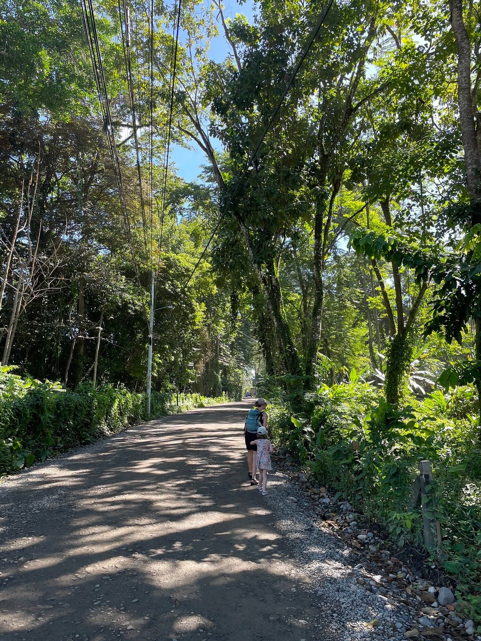 Costa Rica - Talamanca - 