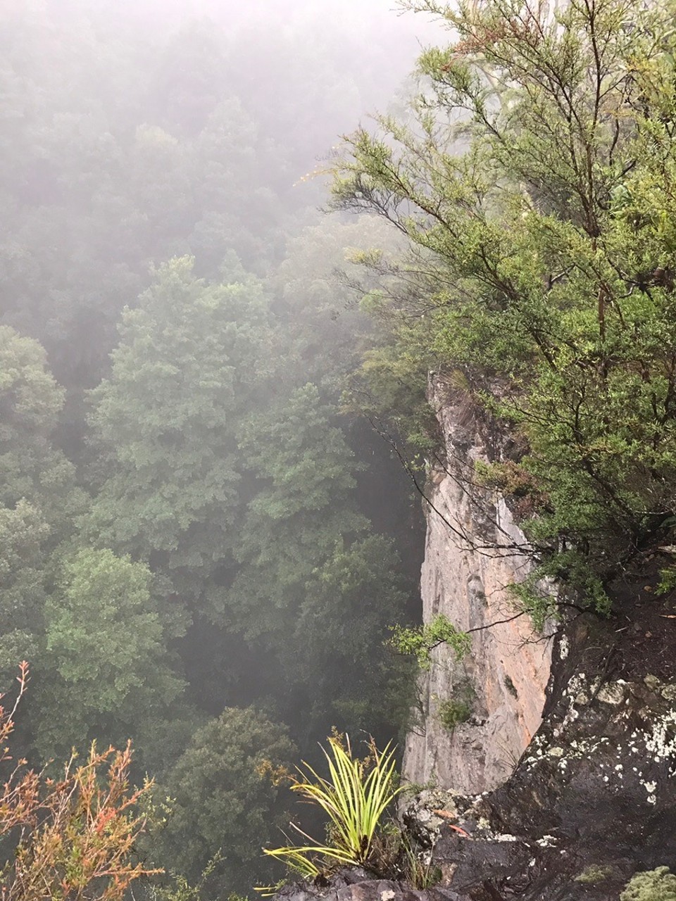 Australia - Katoomba - To this within seconds ! The whole valley below just opened up!