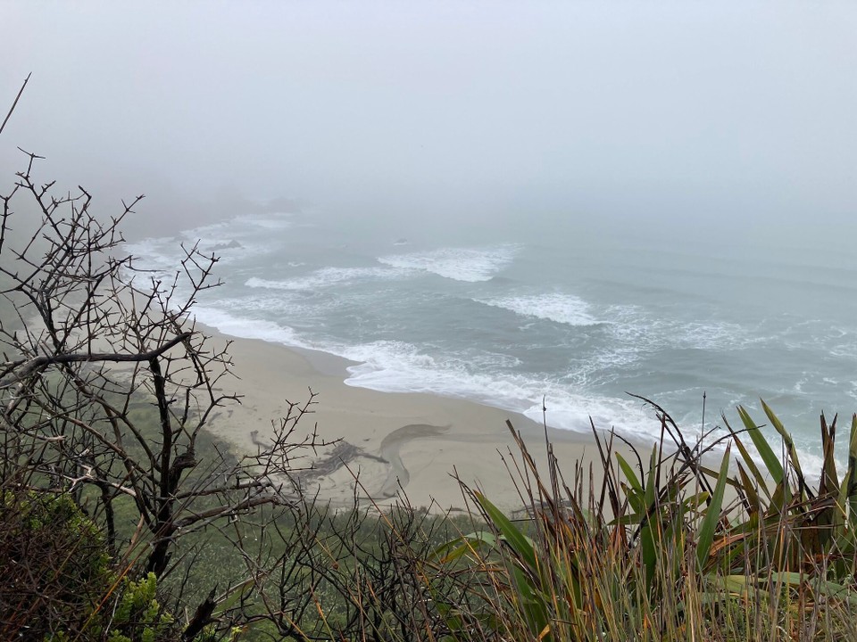 Neuseeland - Kap Foulwind - 