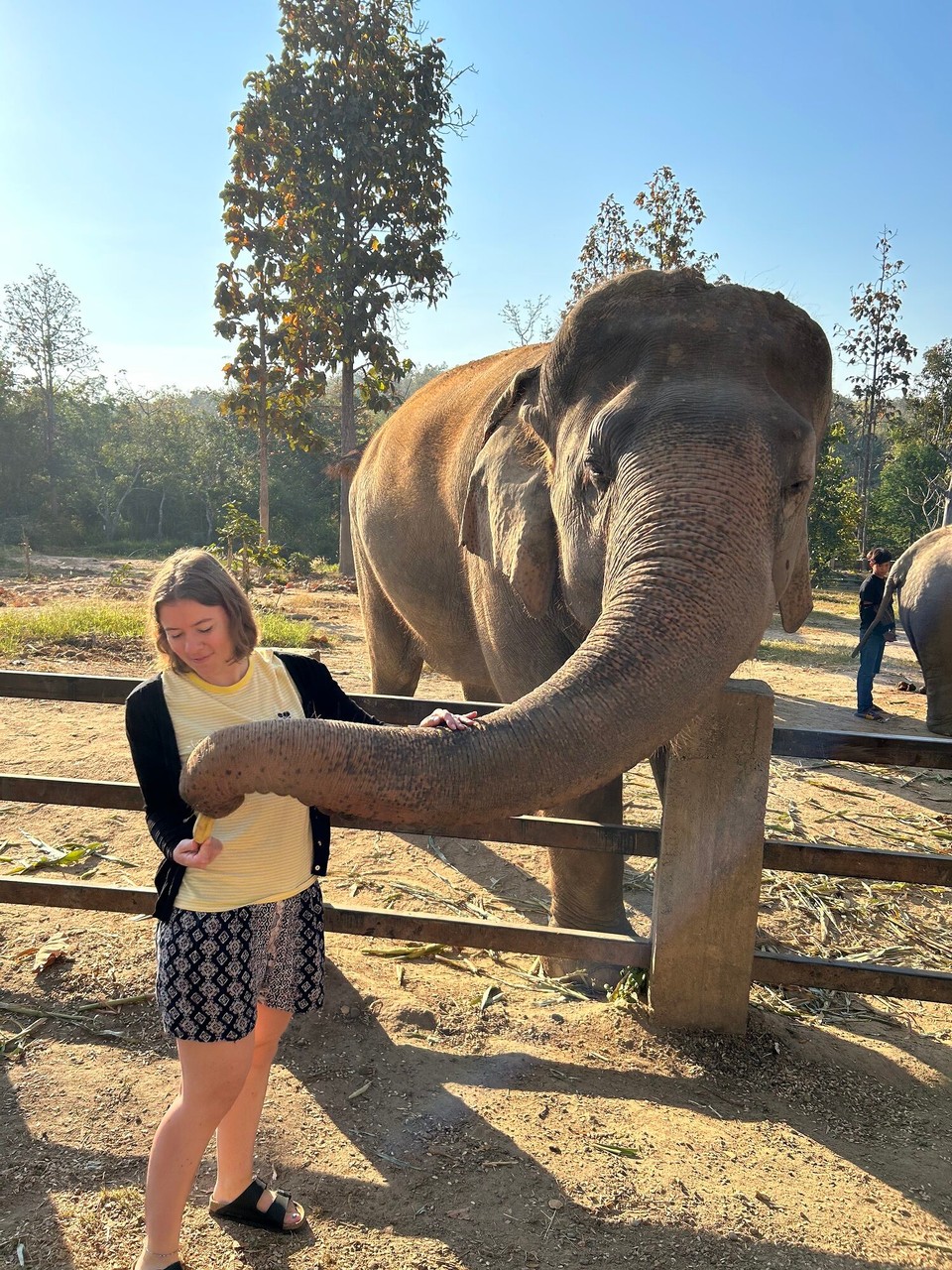 Thailand - Chiang Mai - 
