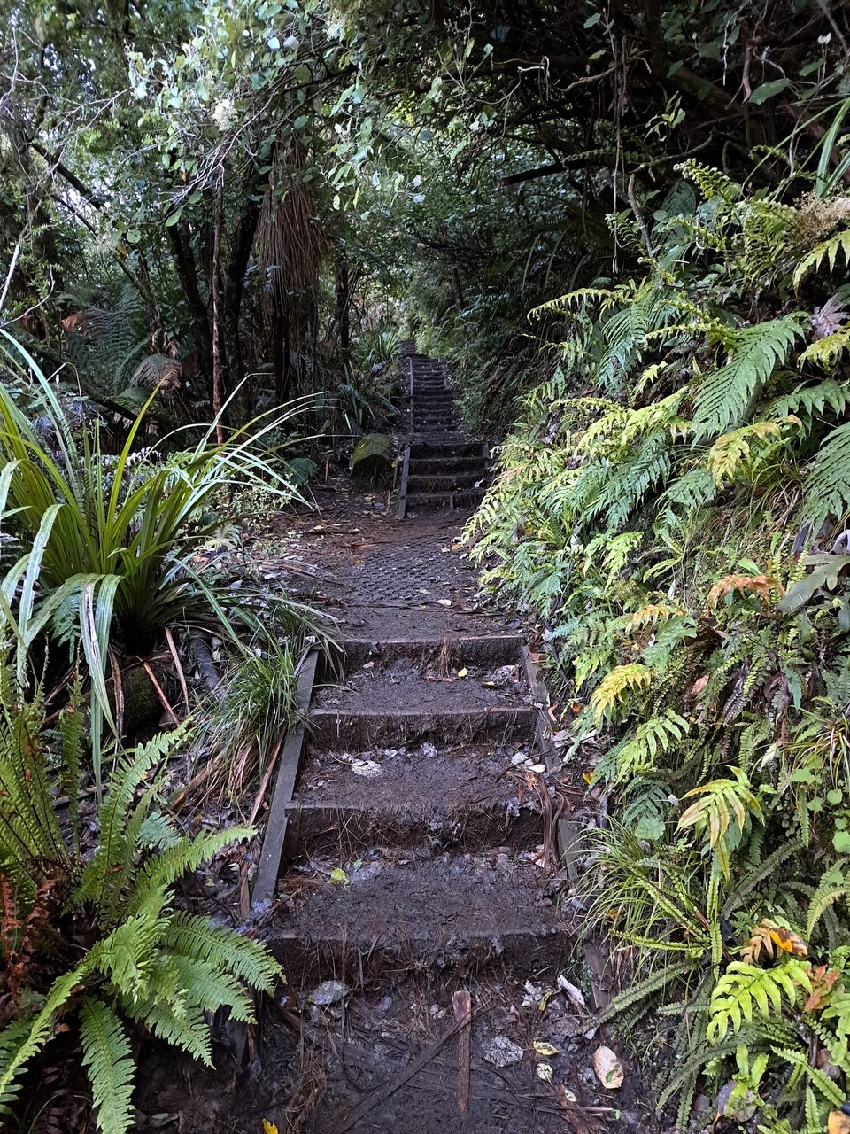 Neuseeland - unbekannt - 