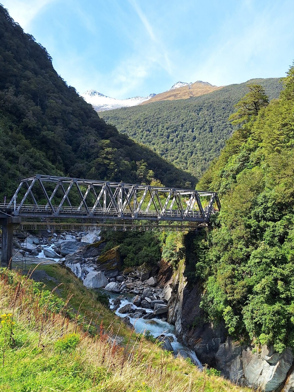 Neuseeland - Jackson Bay - 