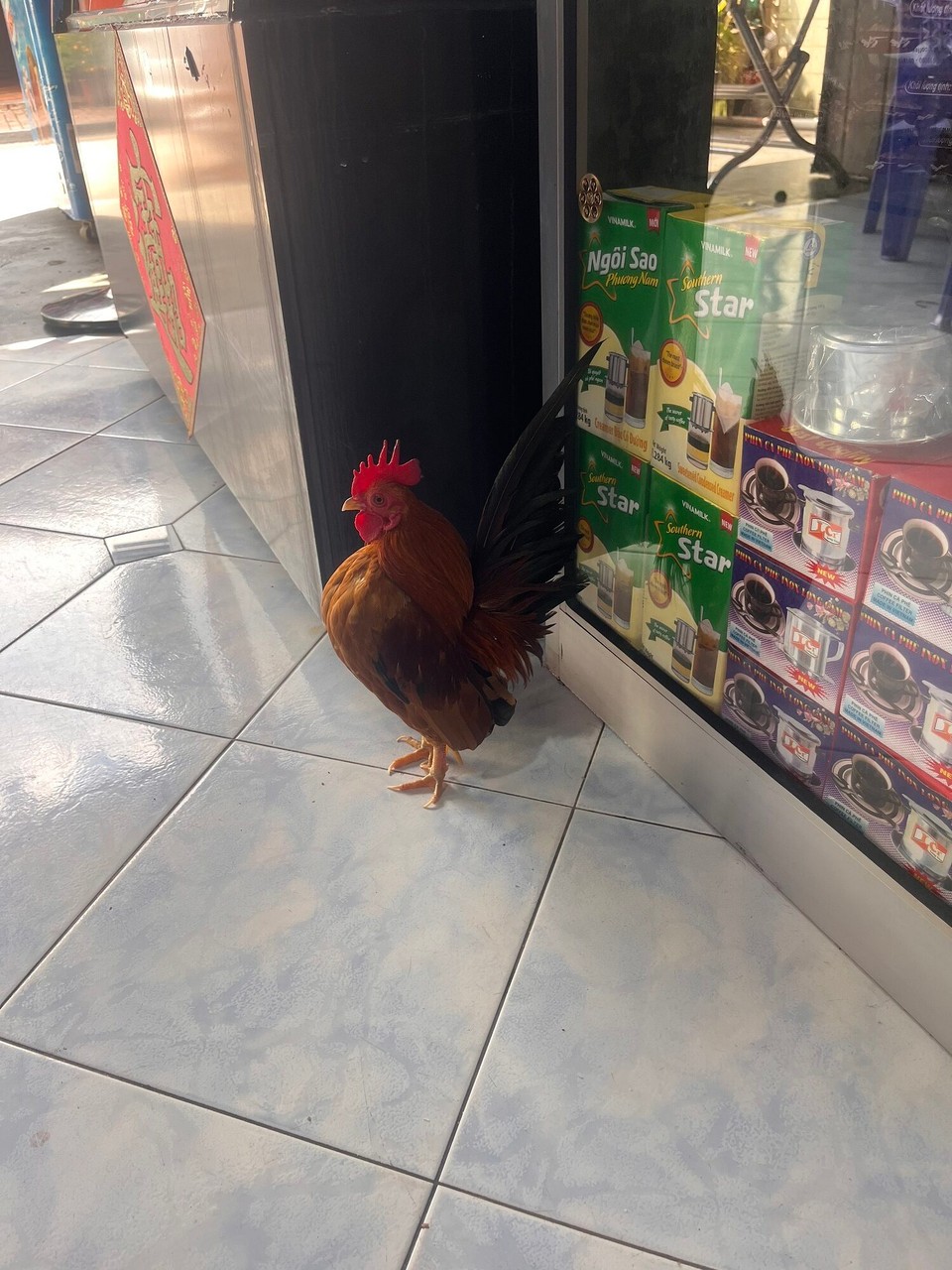 Malaysia - Malacca - Coffee shop chicken 