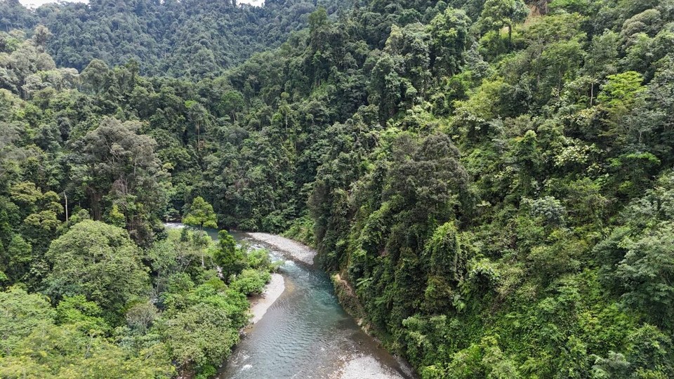 Indonesien - Kabupaten Langkat - 