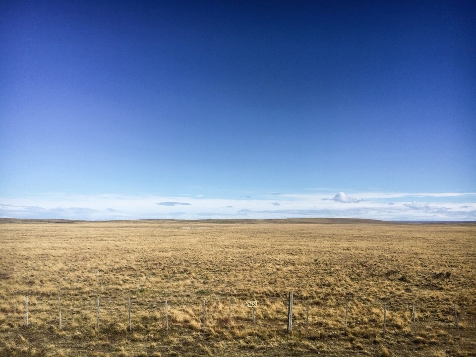 Chile - Punta Arenas - 