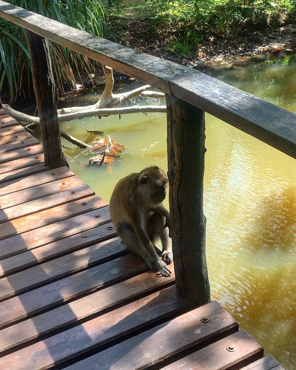Thailand - Amphoe Ko Lanta - 