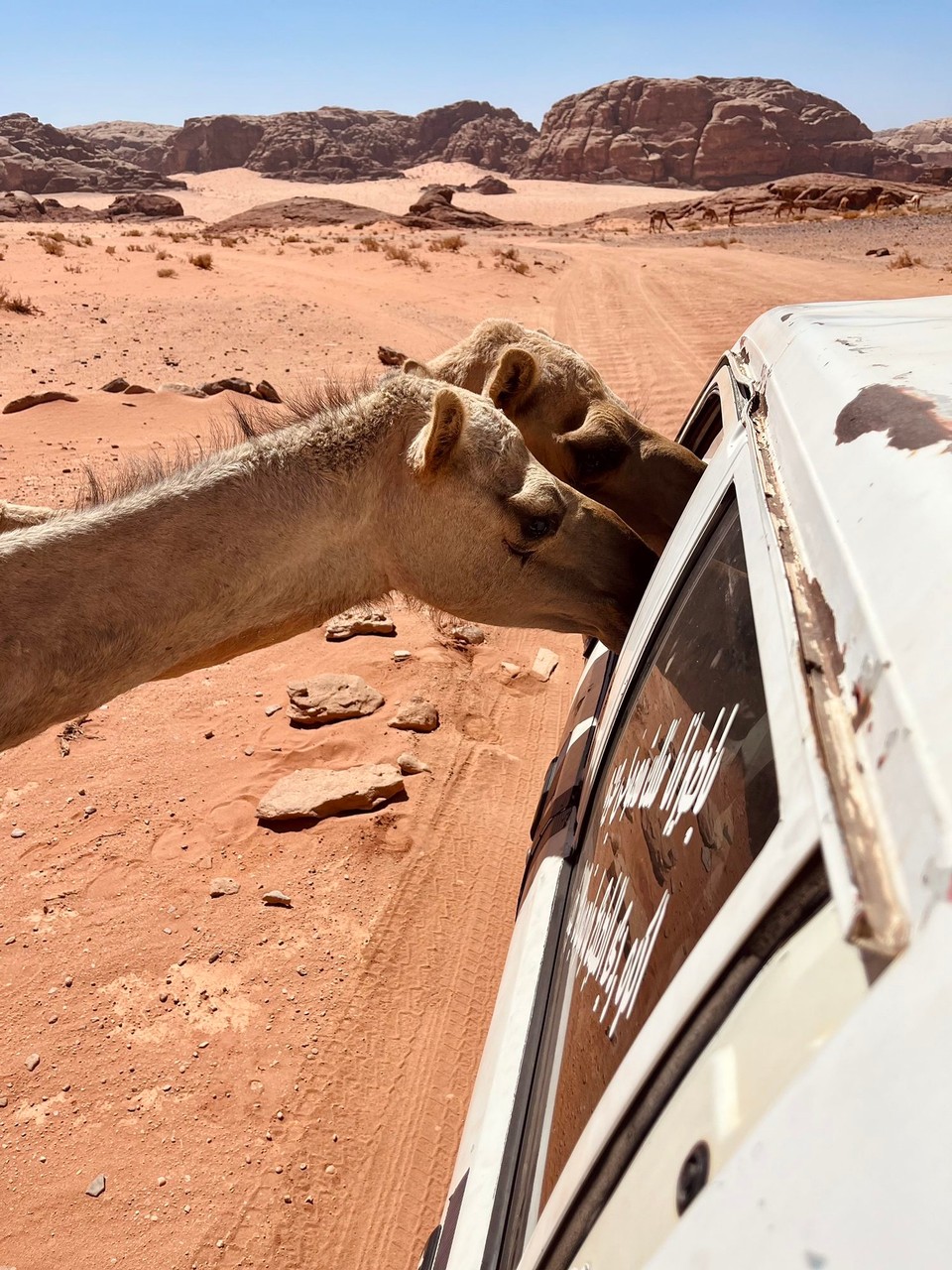 Jordanien -  - 