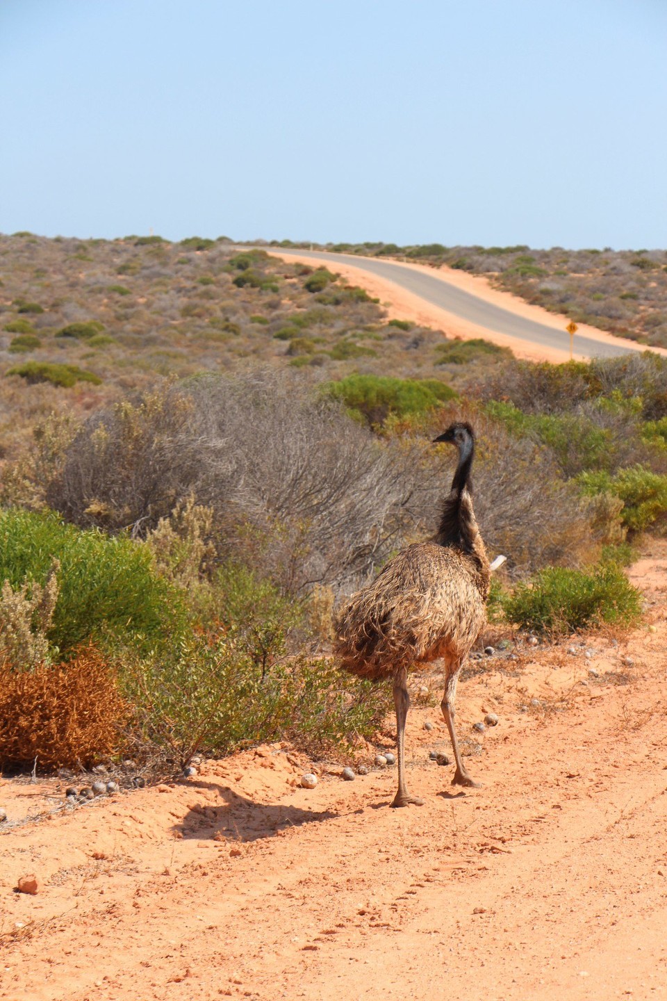Australien - Macleod - 