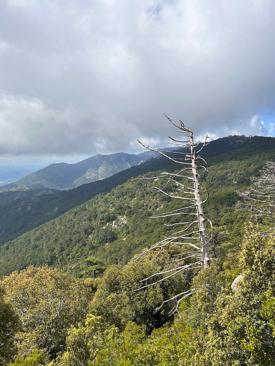 Frankreich - Corte - 