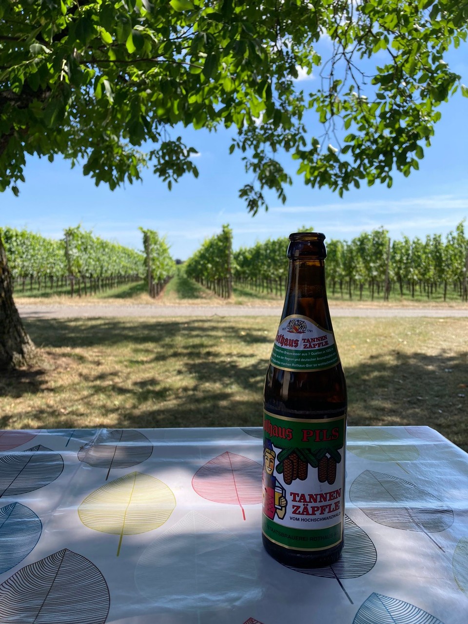 Deutschland - Lauffen am Neckar - Kontrastprogramm am Weinberg - Ankommer-Bier