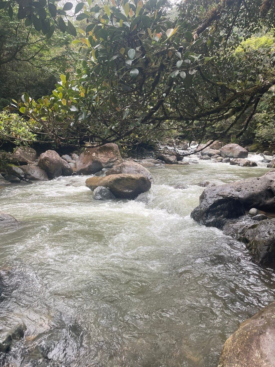 Panama -  - … auch die verschiedenen River Spots haben wir gefunden 🔍 