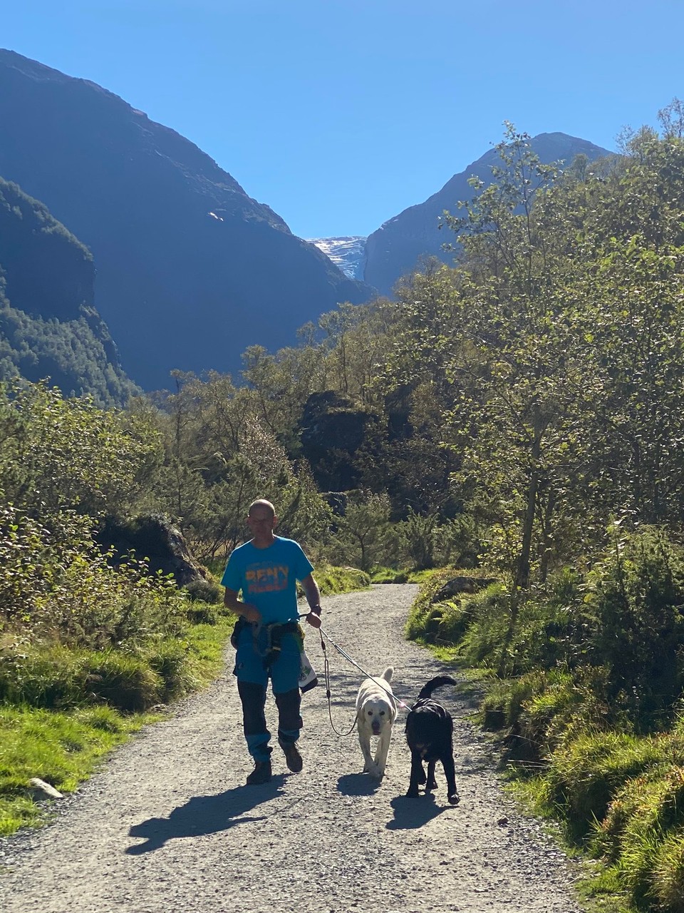 Norwegen - Mauranger - Wandersmann mit Gletscher im Hintergrund 