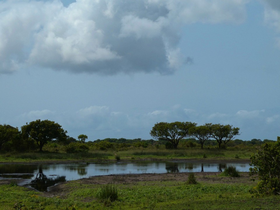 Südafrika - iSimangaliso-Wetland-Park - 