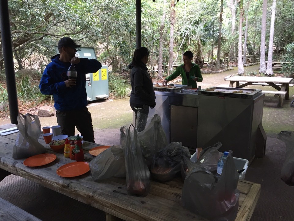  - Australia, Budderoo National Park, Minnamurra Rainforest Center - 