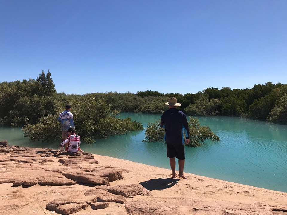 Australia - Lagrange - Even the mangroves were beautiful!