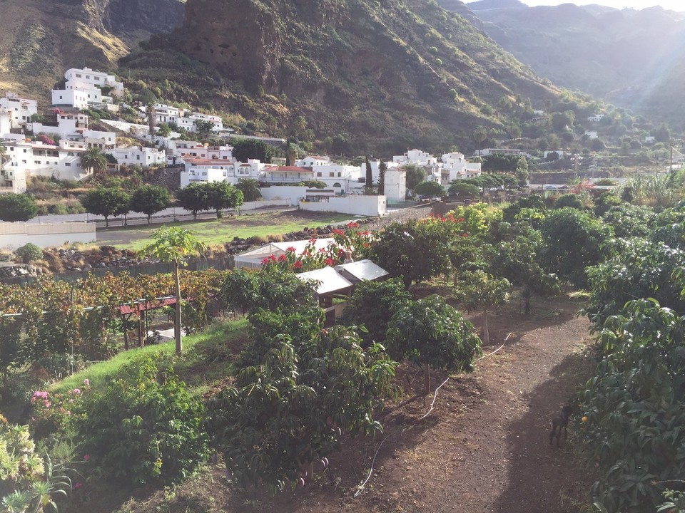 Spanien - Agaete - 