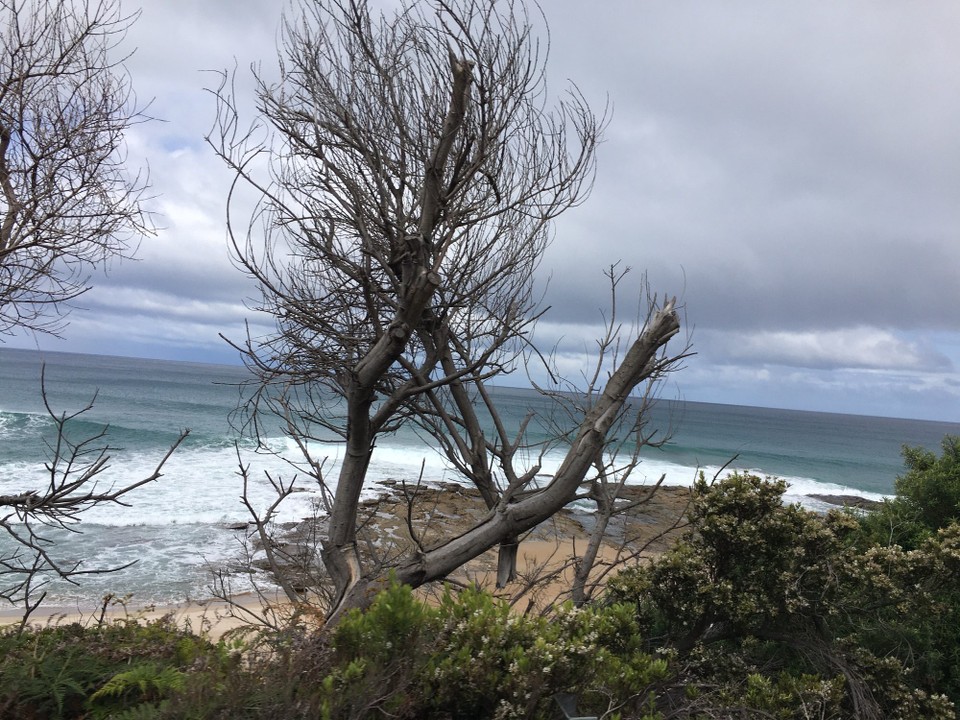 Australien - Apollo Bay - 