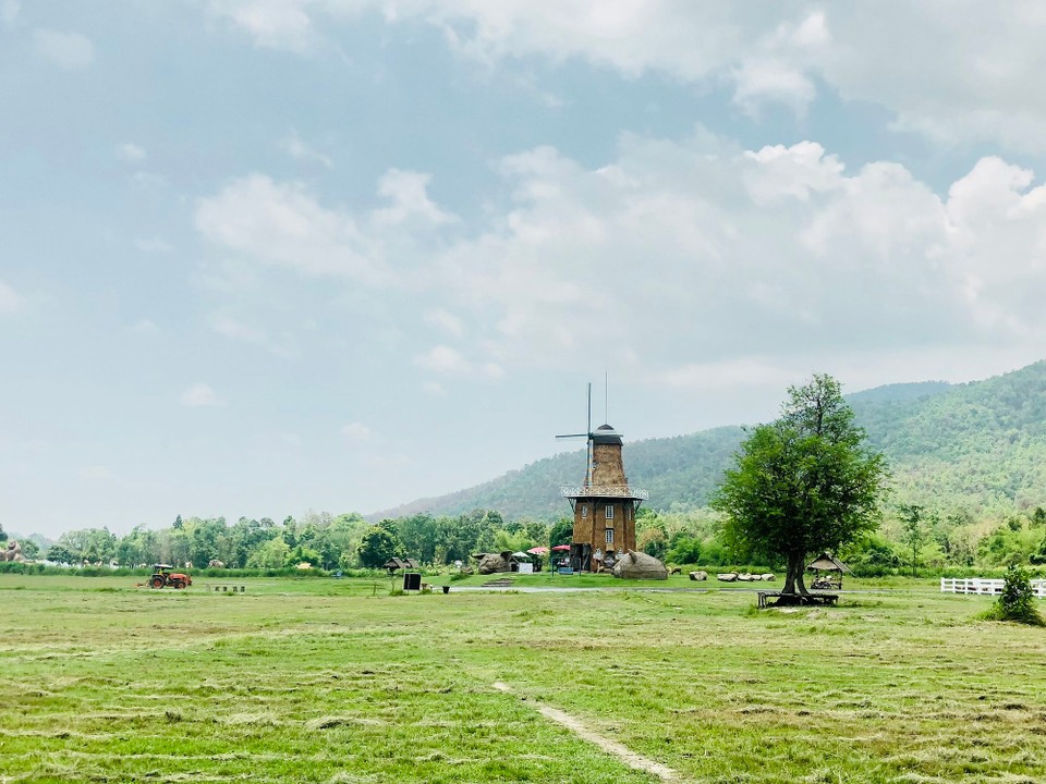 Thailand - Mae Rim - Sheep Farm 🐑