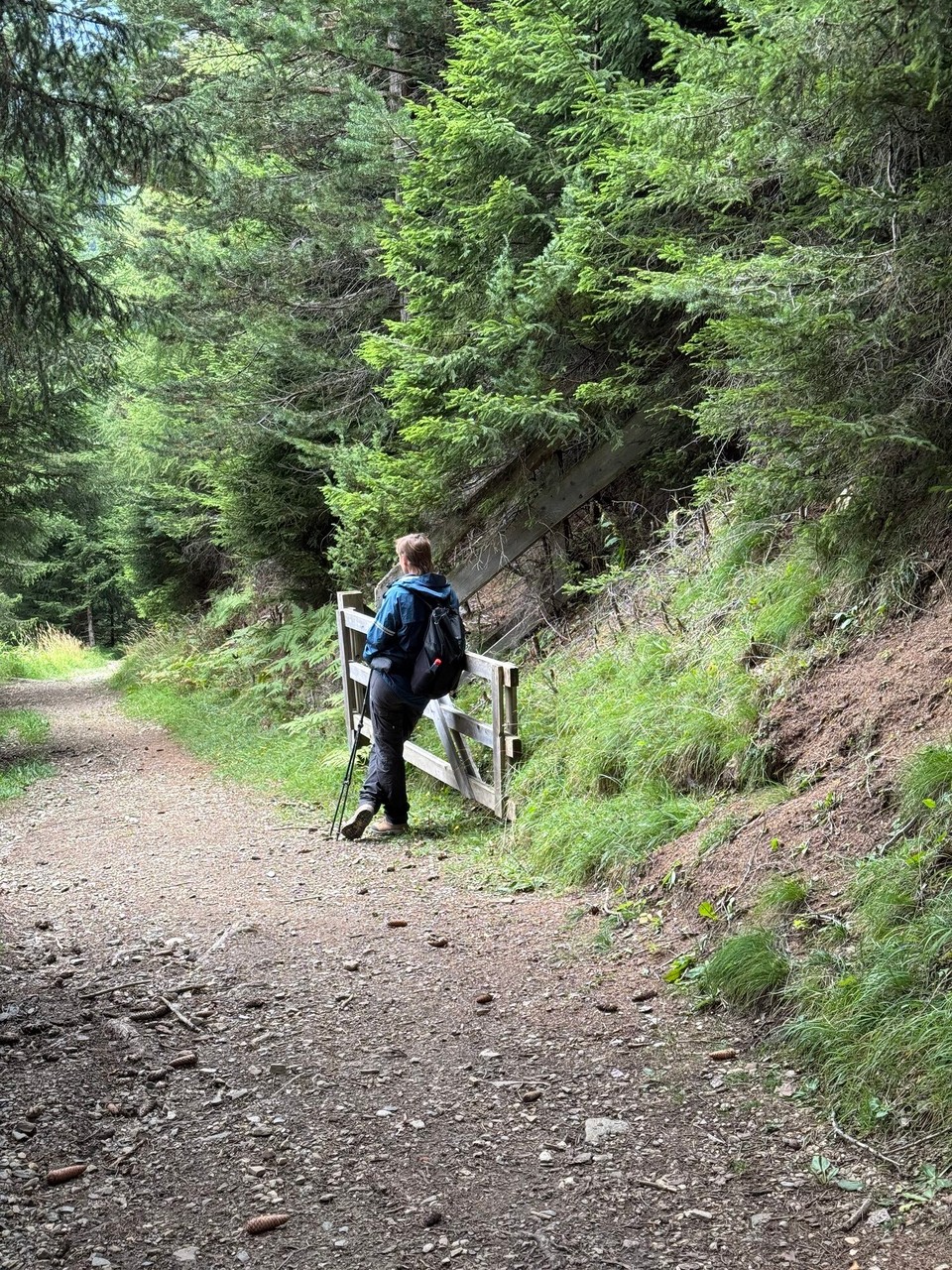 Österreich - Trins - 