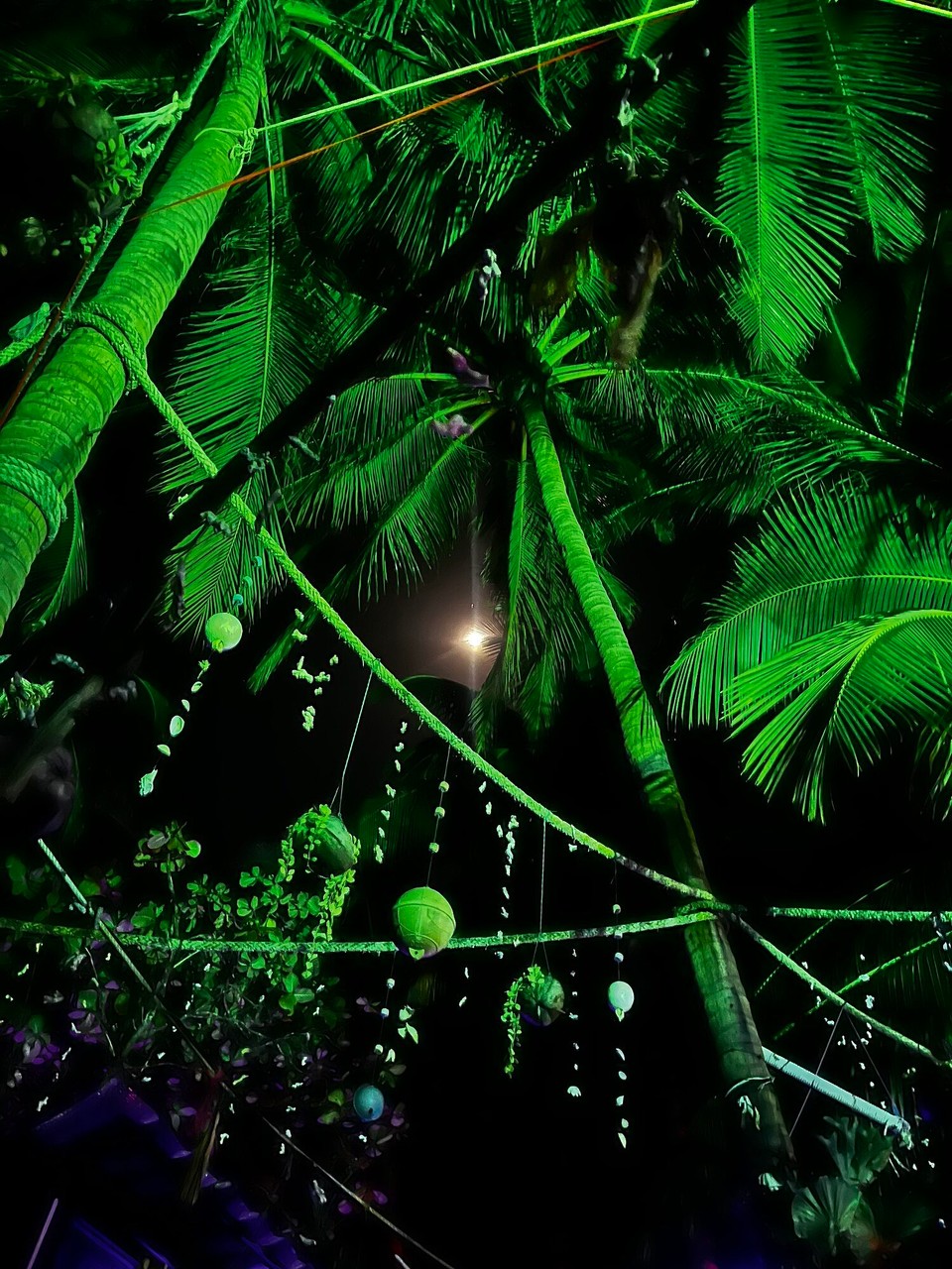 Thailand - Ko Pha-ngan - 