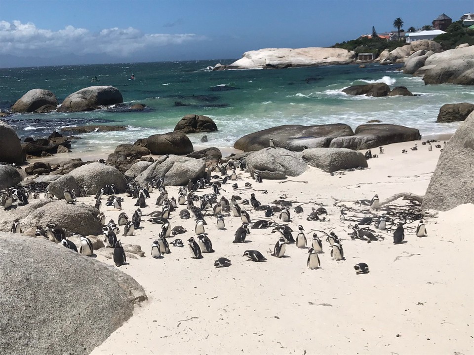 Südafrika - Kapstadt - 