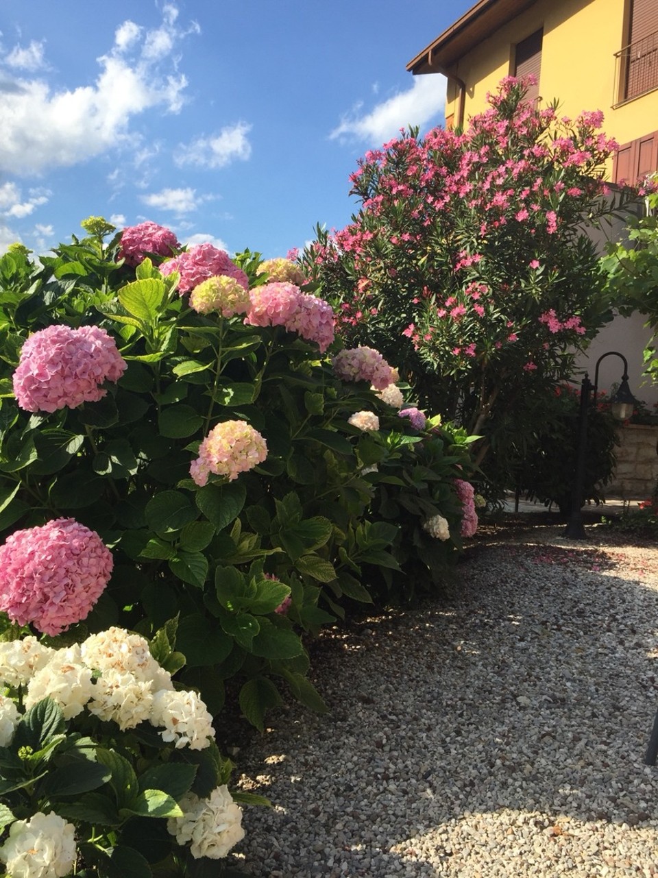Italy - Nago-Torbole - 