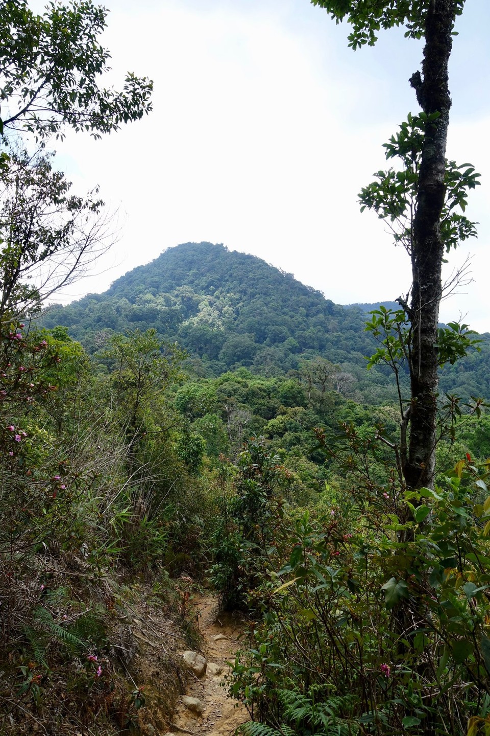 Vietnam - Dalat - Dette er halvveis i turen opp Lang Bien