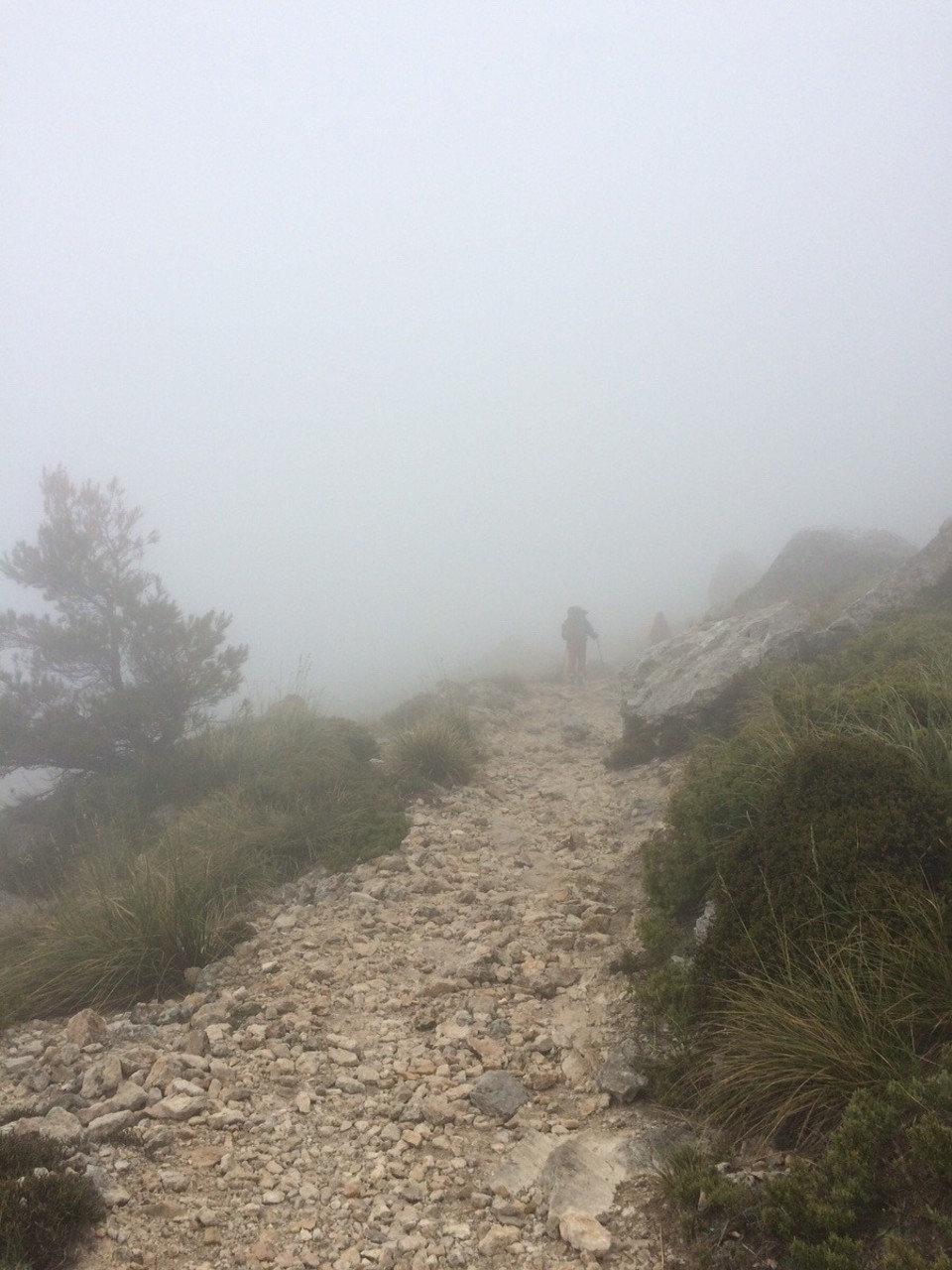 Spanien - Escorca - 