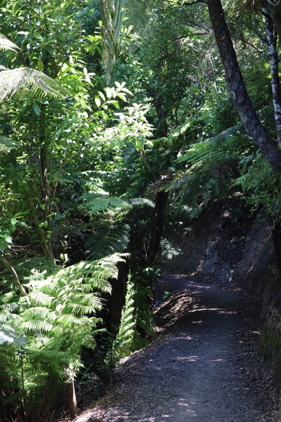 Neuseeland - Picton - 