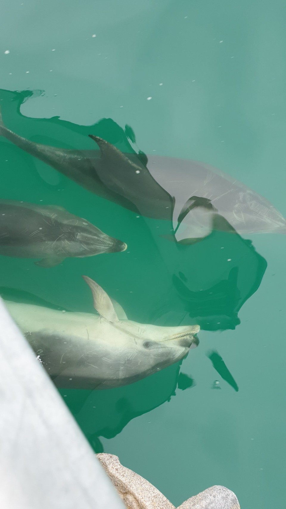 Neuseeland - Invercargill - 