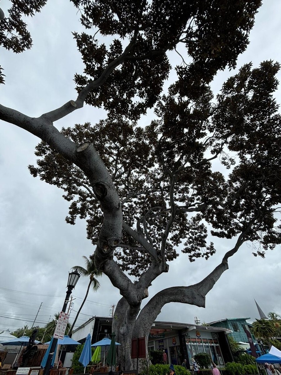 Vereinigte Staaten - Kailua Kona - 
