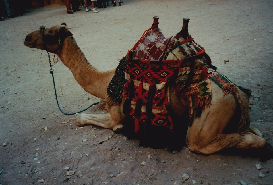 Jordanien - Felsenstadt Petra - 