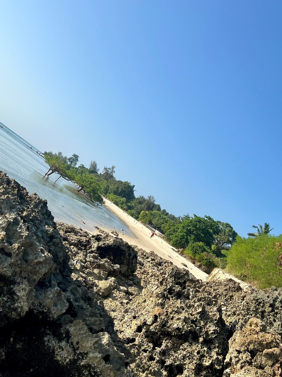 Tansania -  - Unser Strand aus einem anderen Blickwinkel. 