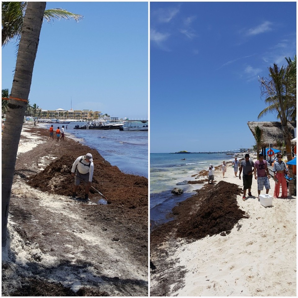 Mexiko - San Miguel de Cozumel - Auf dem Weg zur Fähre, hier nochmal ein kurzer Blick auf den Strand von Playa del Carmen.  Traurig! Der Ort ist eigentlich bekannt für seinen feinen weißen Strand. Problem nur, dass diese nur über Hotel Ressorts zu erreichen sind 😕
Noch ein Grund schnell weiter zu ziehen. 