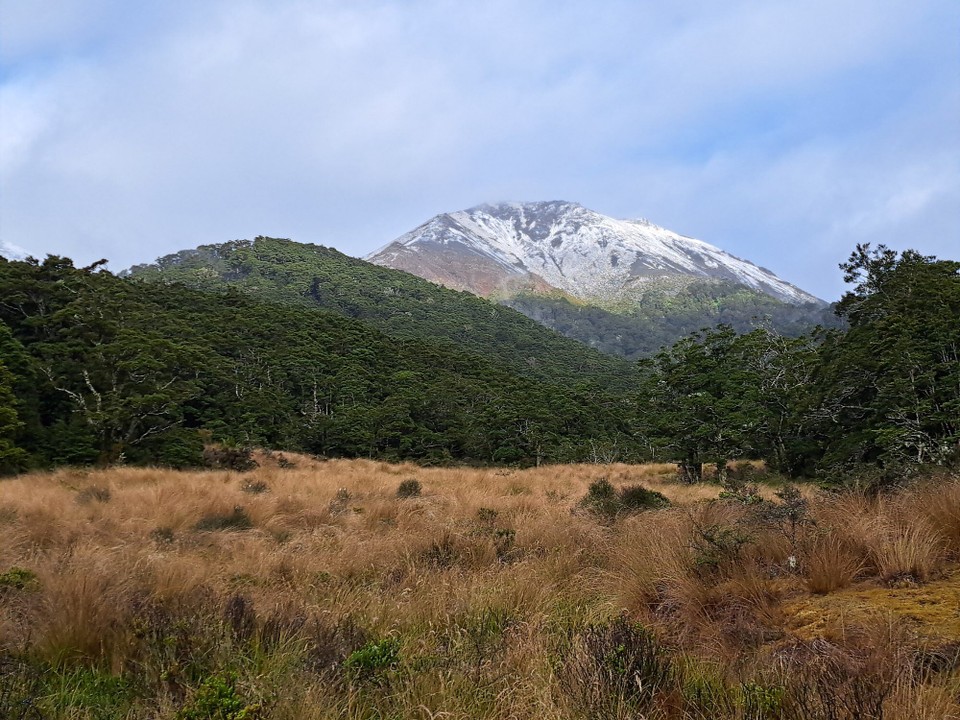 Neuseeland - Birchwood - 