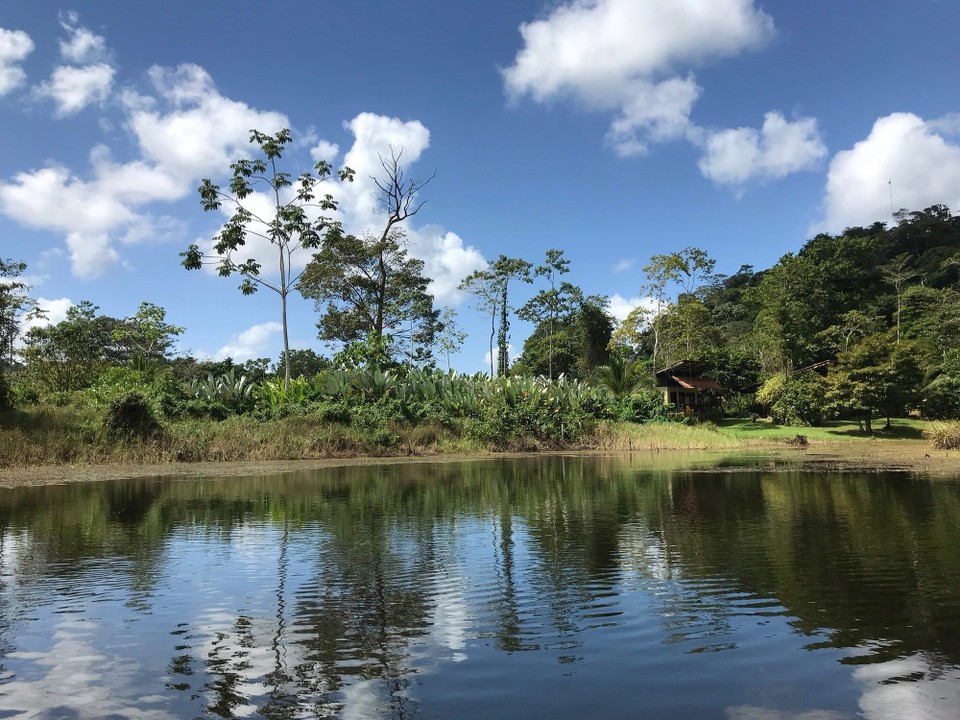 Costa Rica - San Carlos - 