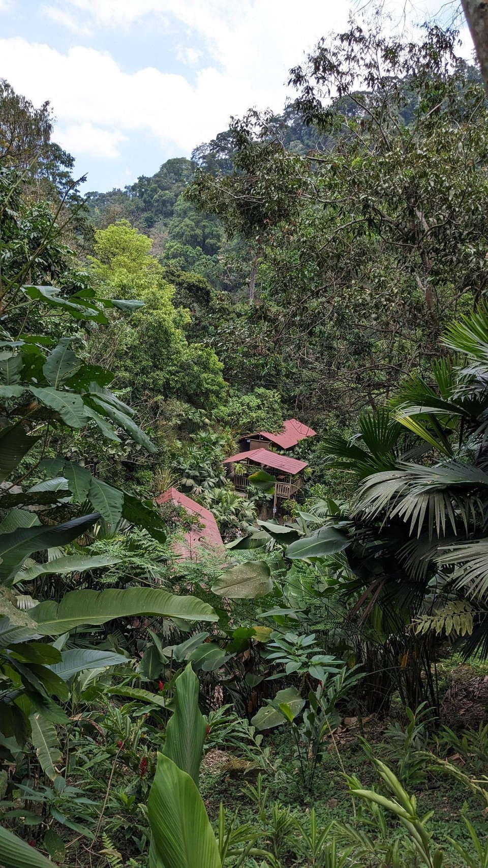 Kolumbien - Minca - 
