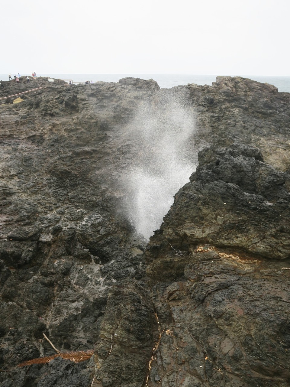 Australia - Eden - Geyser d'eau de mer