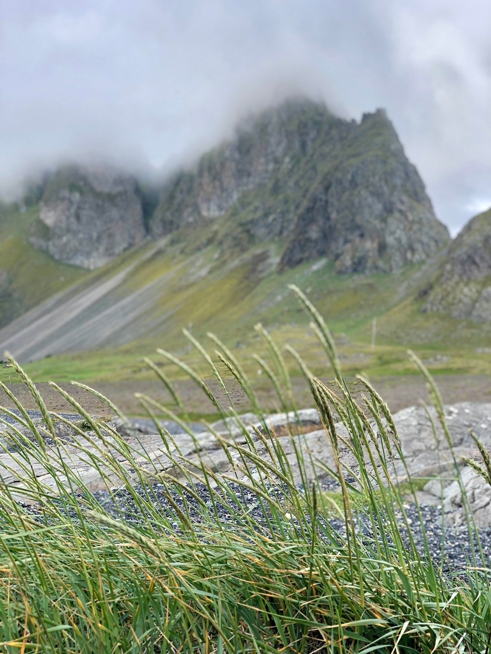 Island - Sveitarfélagið Hornafjörður - Jetzt schaue ich mal, welche schönen Vordergründe ich hier in der Umgebung für „mein Eystrahornbild“ so finde...