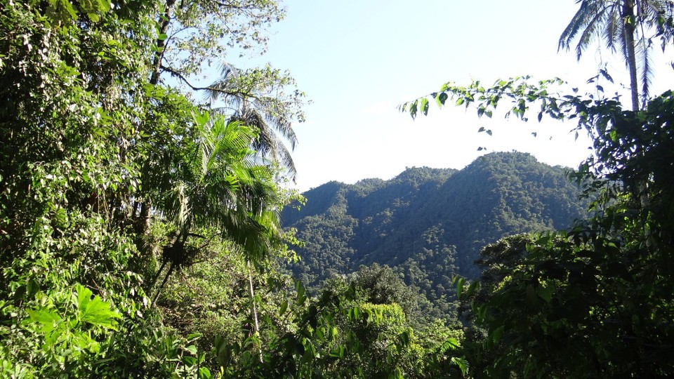 Ecuador - Mindo Valley - View over the cloud forrest