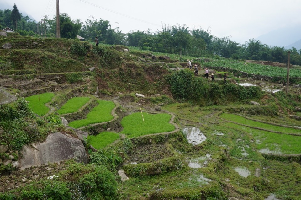Vietnam -  - 