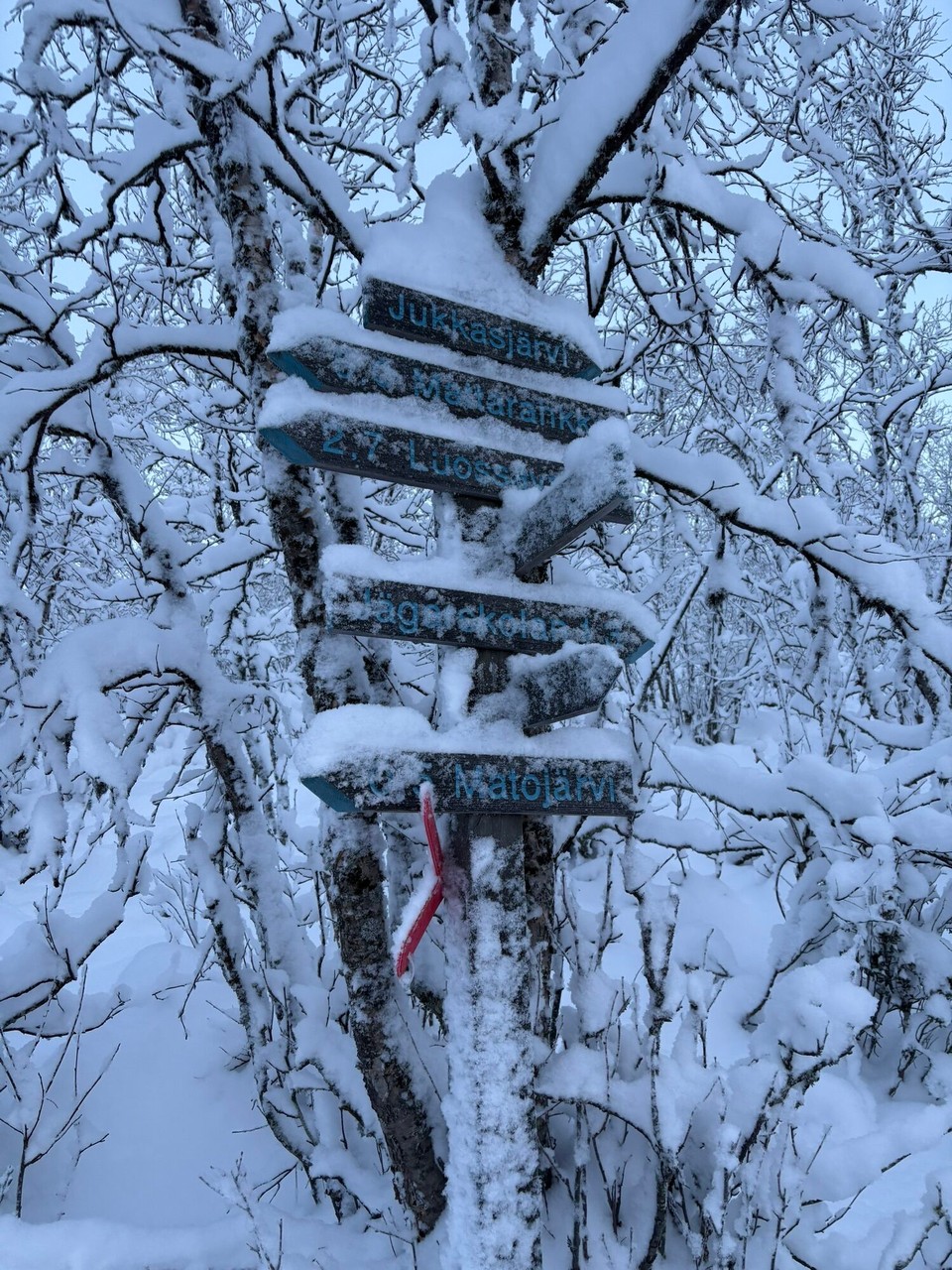 Schweden - Kiruna - 
